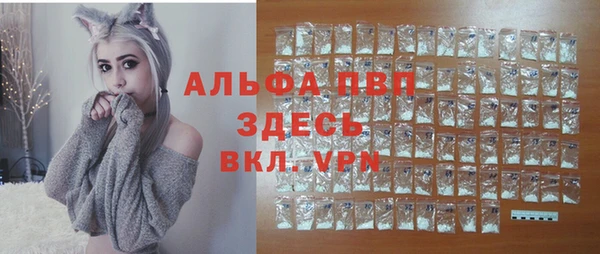 apvp Алзамай
