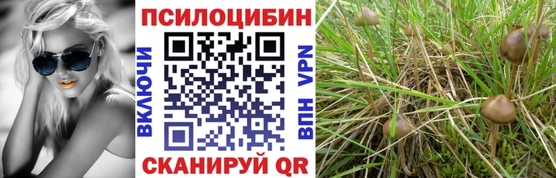 Псилоцибиновые грибы мухоморы Ачхой-Мартан