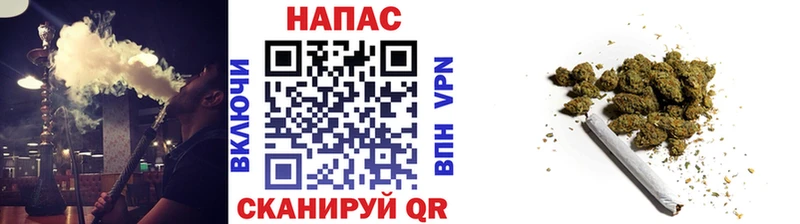 Конопля SATIVA & INDICA Ачхой-Мартан